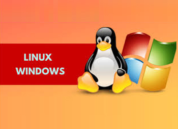 Linux/Windows操作系統